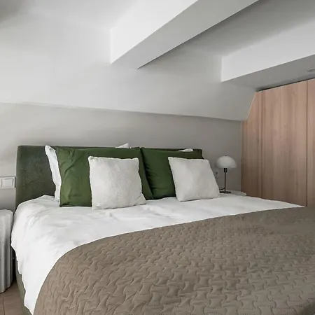 Brand New Loft Naujamiestis Апартаменты *