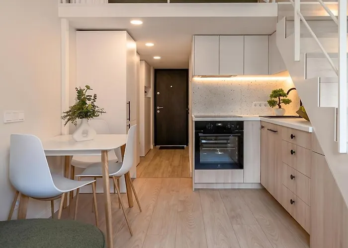 Butas Brand New Loft Naujamiestis