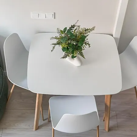 Brand New Loft Naujamiestis Apartment